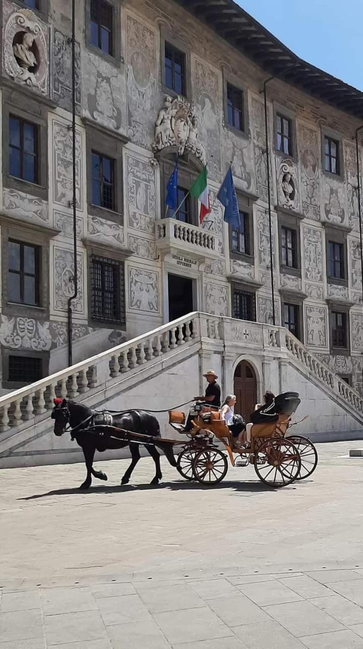 Leilighet Bellavista Pisa